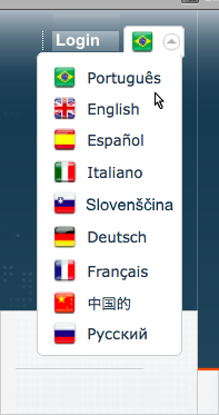 Website Translation Example - Brazilian Portuguese and other languages with flags
